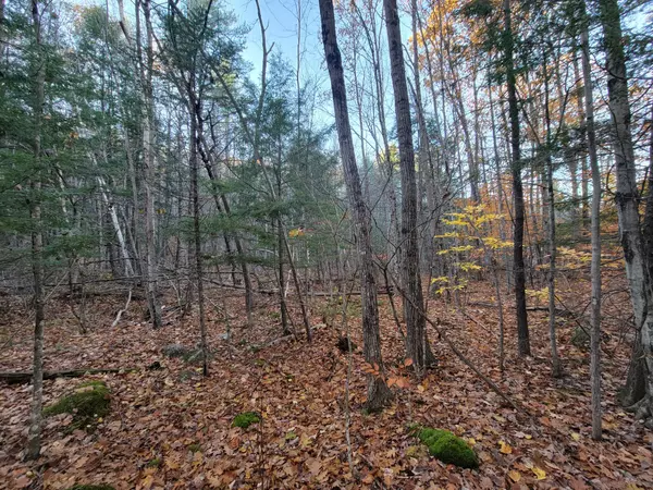 Greene, ME 04236,Lot B&C Quaker Ridge RD