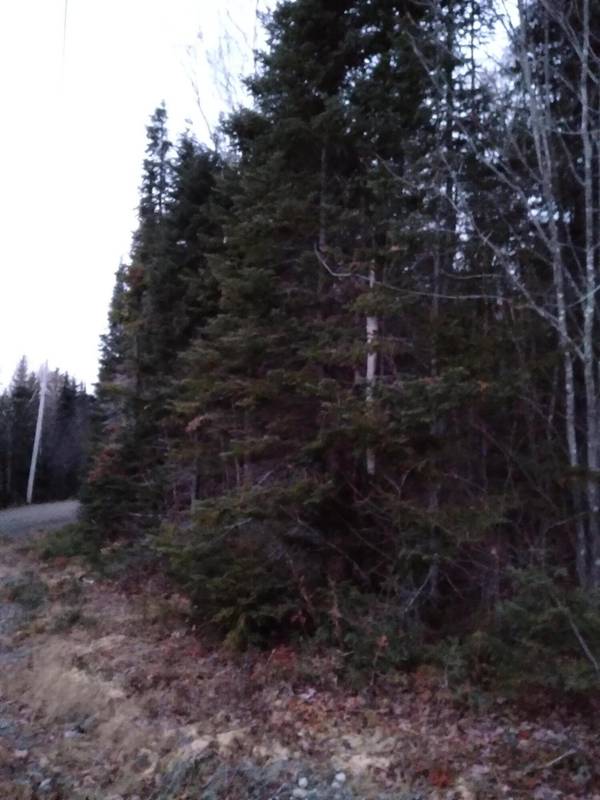 lot 11 Dump Rd, South Rangeley HTS, Rangeley Plt, ME 04970