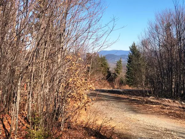 Lot5 Alpine RDG, Greenville, ME 04441