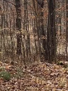 Hiram, ME 04041,0 Outer King ST