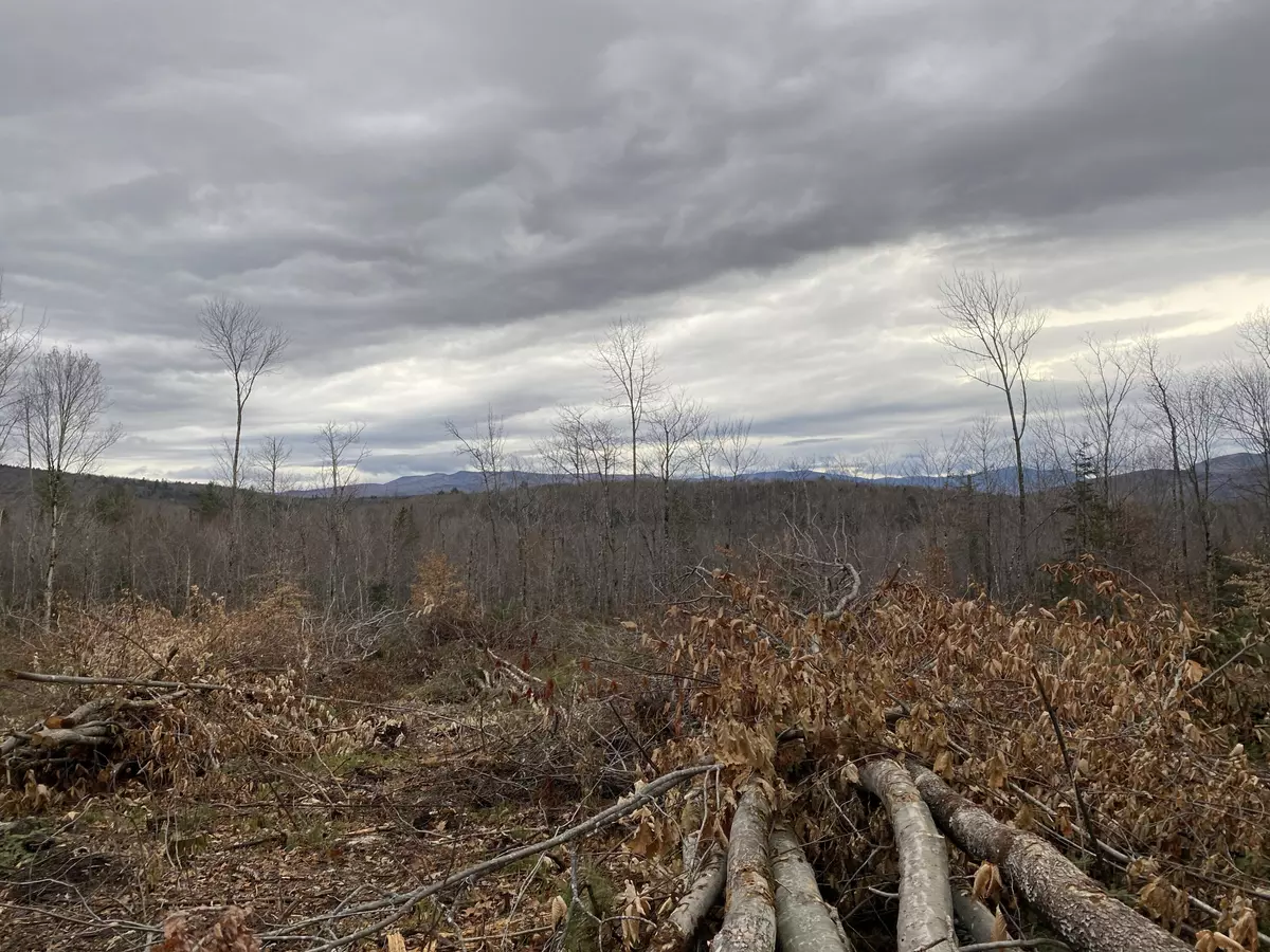 Weld, ME 04285,121 Off Brown Neighborhood RD