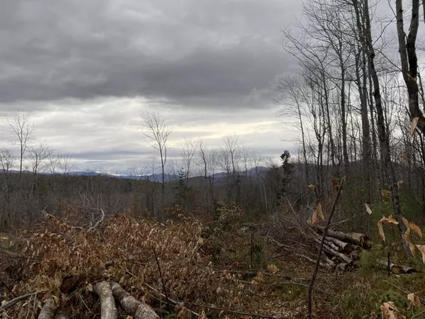 Weld, ME 04285,121 Off Brown Neighborhood RD