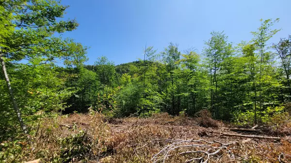 0 Roxbury Notch RD, Roxbury, ME 04275