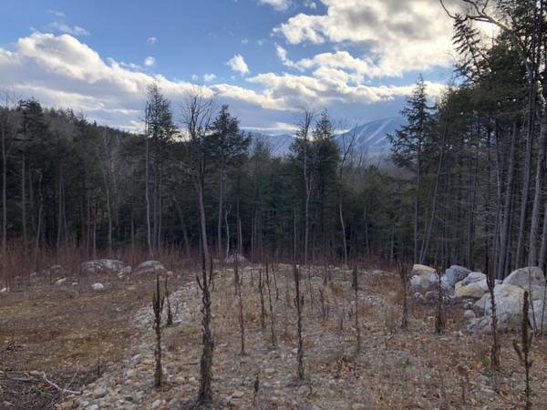 Lot 67 Snowbird LN, Newry, ME 04261