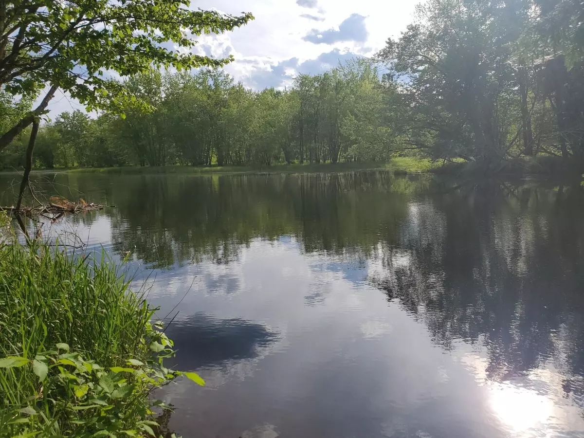 Palmyra, ME 04965,M6 L65 Tacconett RD