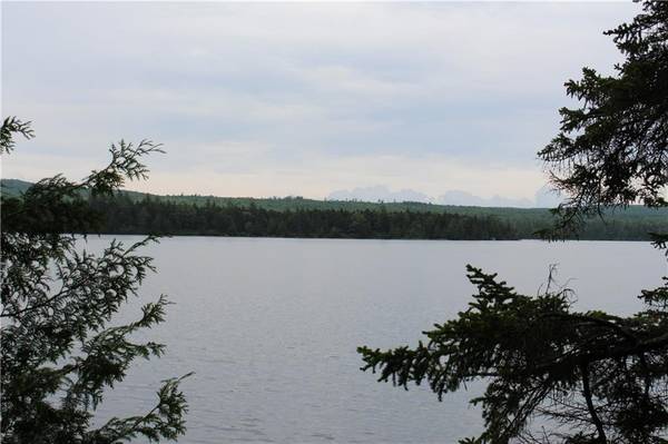 Lincoln Plt, ME 04970,LOT 2 West Richardson Pond RD