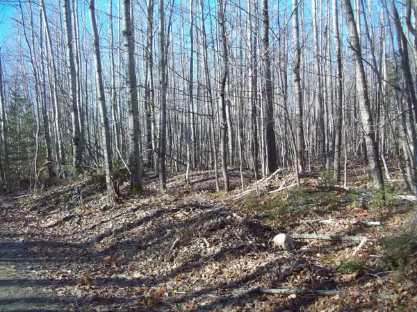 TBD Lot 7 Bartlett Brook Estates I, Springfield, ME 04487