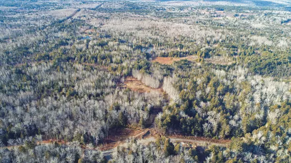 Mariaville, ME 04605,LOT13&13-2 Orrin Road