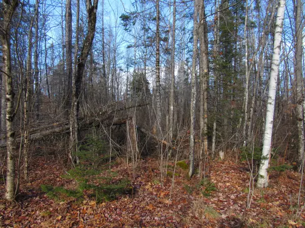 Hudson, ME 04449,M7 L4 Meadow RD