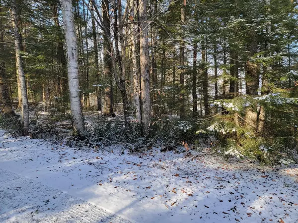 Prentiss Twp T7 R3 Nbpp, ME 04487,M1 L13 On Blackberry DR