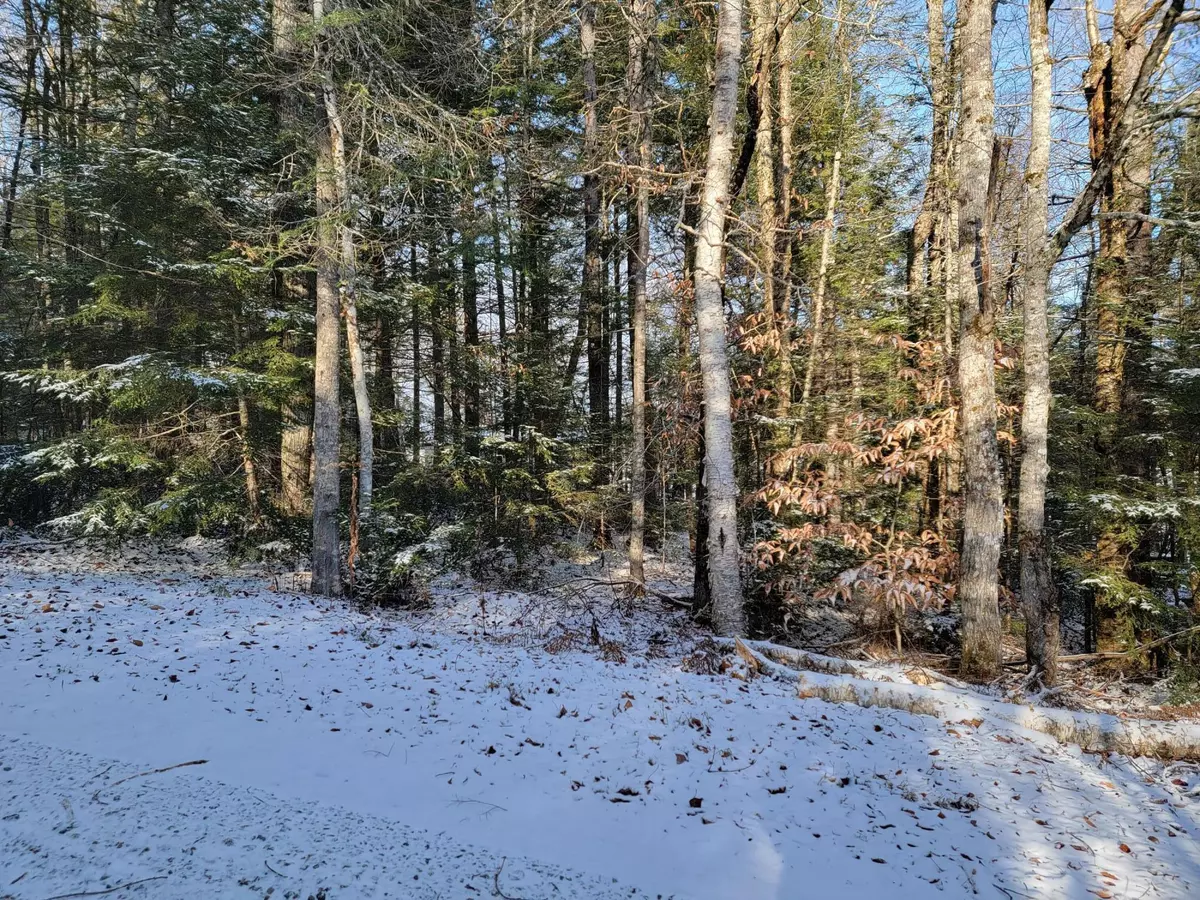 Prentiss Twp T7 R3 Nbpp, ME 04487,M1 L13 On Blackberry DR