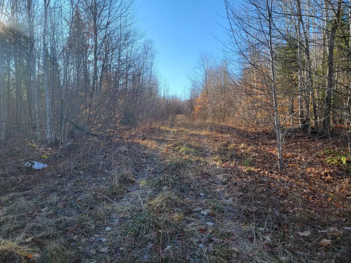 Prentiss Twp T7 R3 Nbpp, ME 04487,M10 L6 US 169