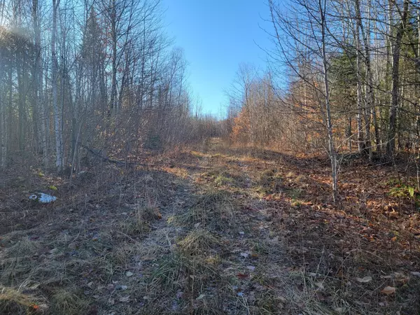 M10 L6 US 169, Prentiss Twp T7 R3 Nbpp, ME 04487