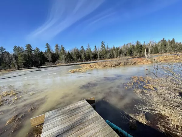 Magalloway Plt, ME 03579,320 Pond Brook Road RD