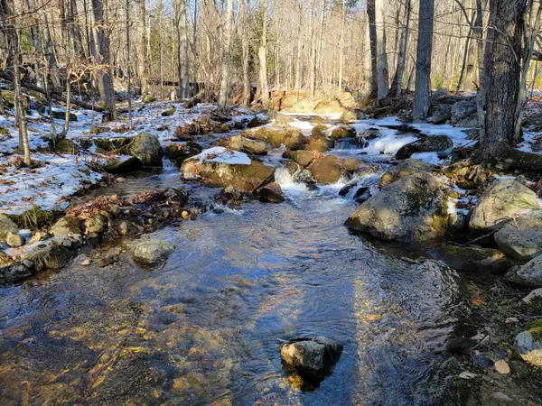 Weld, ME 04285,M1 L20-001 Off Francis Place Rd