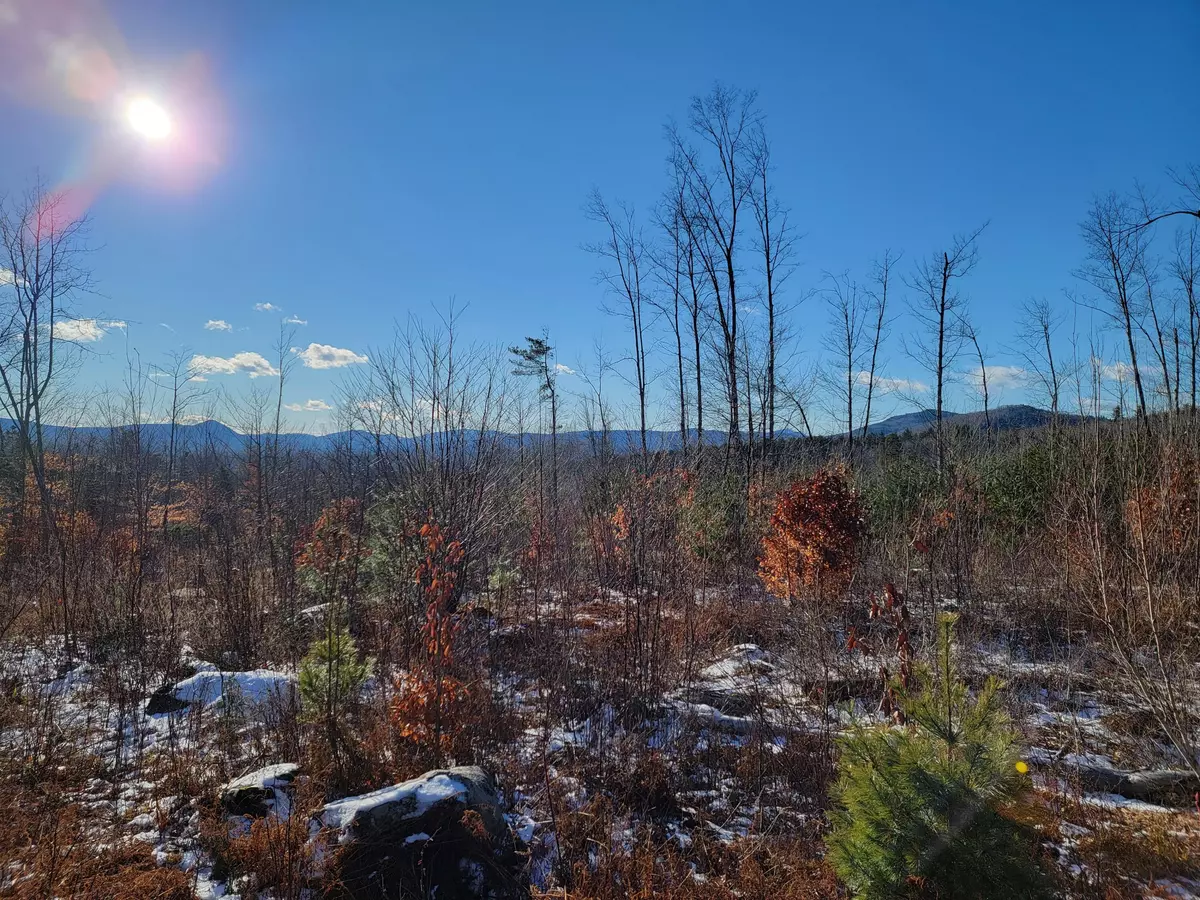 Weld, ME 04285,M1 L20-001 Off Francis Place Rd