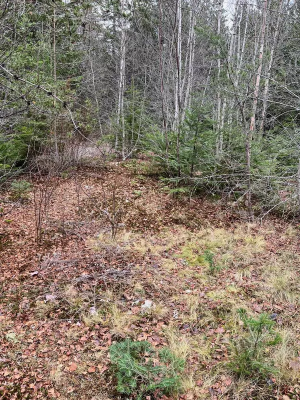 179 Birch Harbor Road, Winter Harbor, ME 04693