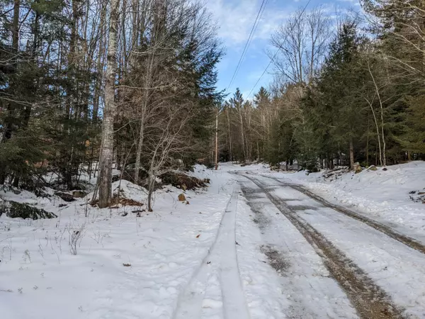 Parsonsfield, ME 04047,00 S RD