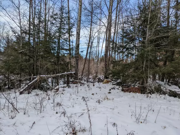 Parsonsfield, ME 04047,00 S RD