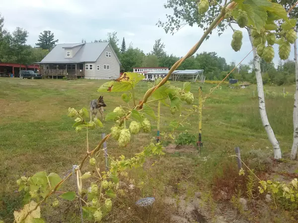 Passadumkeag, ME 04475,86 Goulds Ridge RD