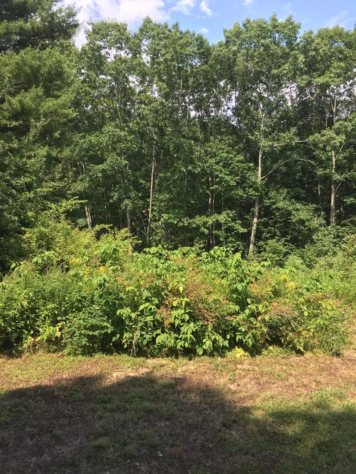 Wiscasset, ME 04578,0 Shea RD