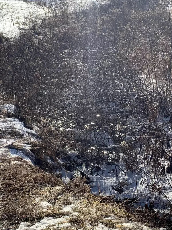 Whitefield, ME 04353,50 Pittston RD