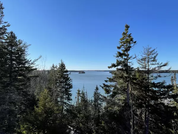 Milbridge, ME 04658,501 Ray's Point Road RD