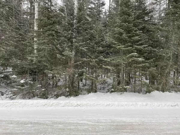 Lot 11C East Road, Greenville, ME 04441