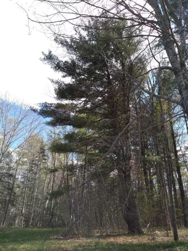 Rockport, ME 04856,3 Harvey Hill RD