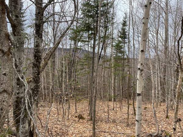 Lot 25D Pauls Path, Sandy River Plt, ME 04970