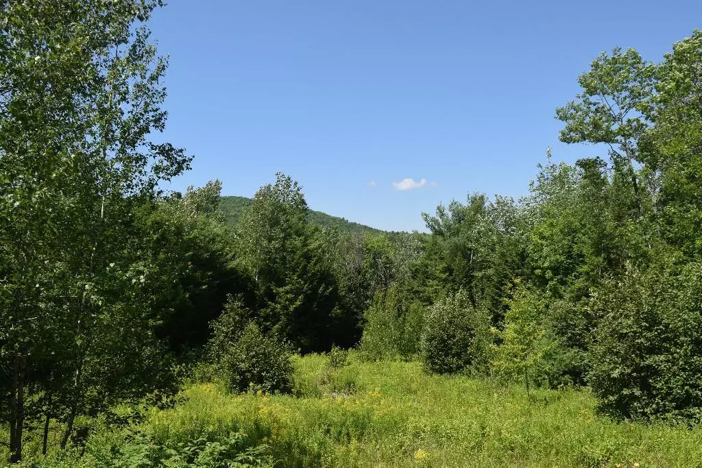 Hiram, ME 04041,Lot 1 Richardson RD