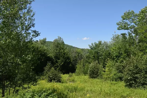 Lot 1 Richardson RD, Hiram, ME 04041
