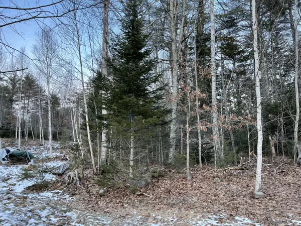 Newcastle, ME 04553,0 Off Route One