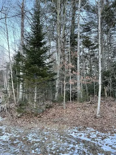 Newcastle, ME 04553,0 Off Route One