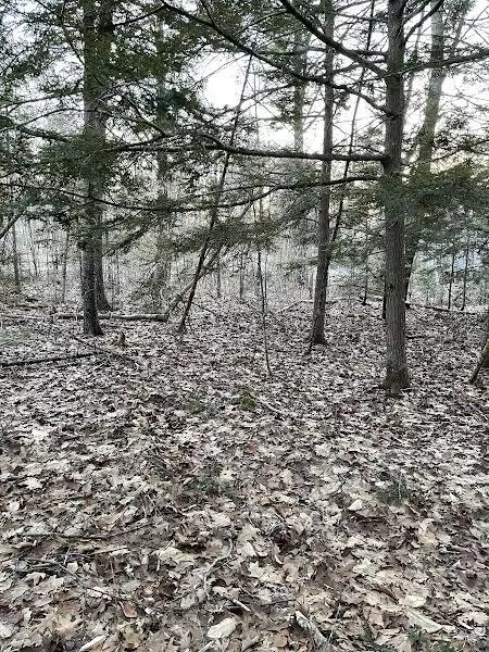 Newcastle, ME 04553,0 Off Route One