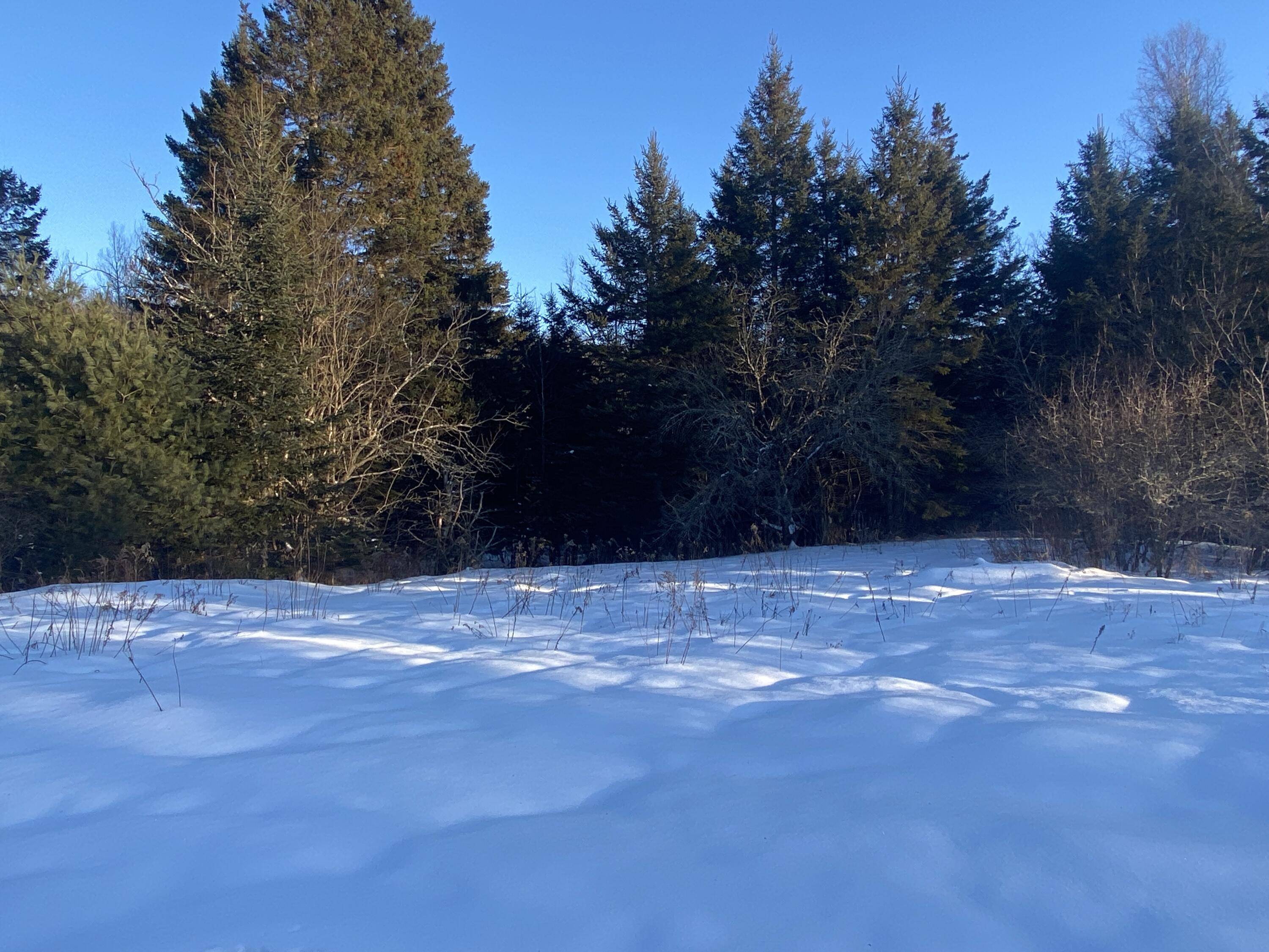 Prentiss Twp T7 R3 Nbpp, ME 04487,71 Averill RD