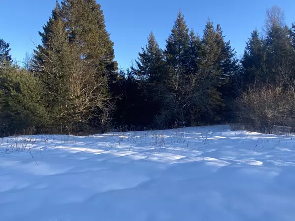 Prentiss Twp T7 R3 Nbpp, ME 04487,71 Averill RD