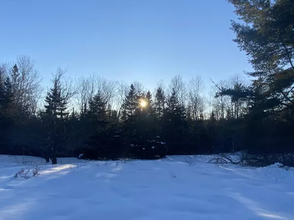 Prentiss Twp T7 R3 Nbpp, ME 04487,71 Averill RD