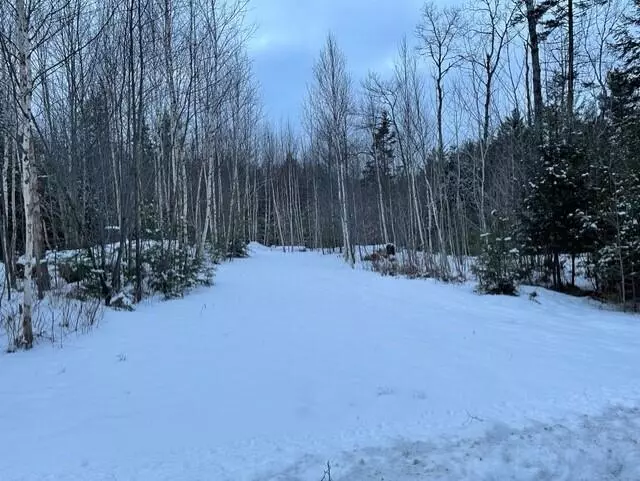 Mariaville, ME 04605,80 Silsby RD