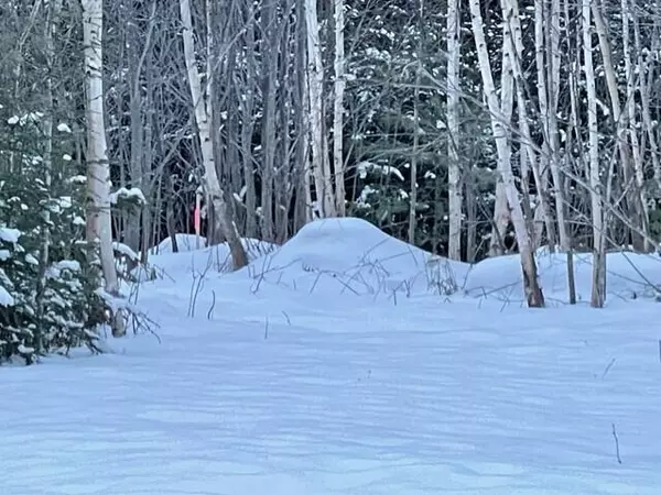 Mariaville, ME 04605,80 Silsby RD