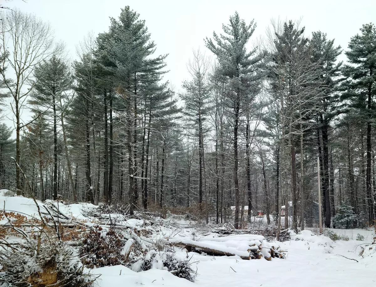 Greenbush, ME 04418,0 Oak Point LN