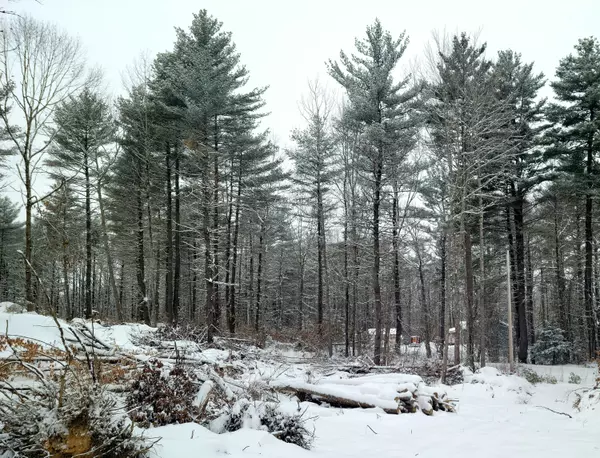 0 Oak Point LN, Greenbush, ME 04418