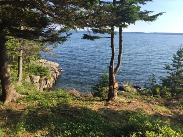 Tremont, ME 04612,16 Rocky Coast RD