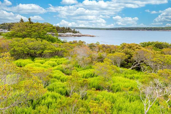 Phippsburg, ME 04562,Lot 3 Big Wood Island (Casco Bay) IS