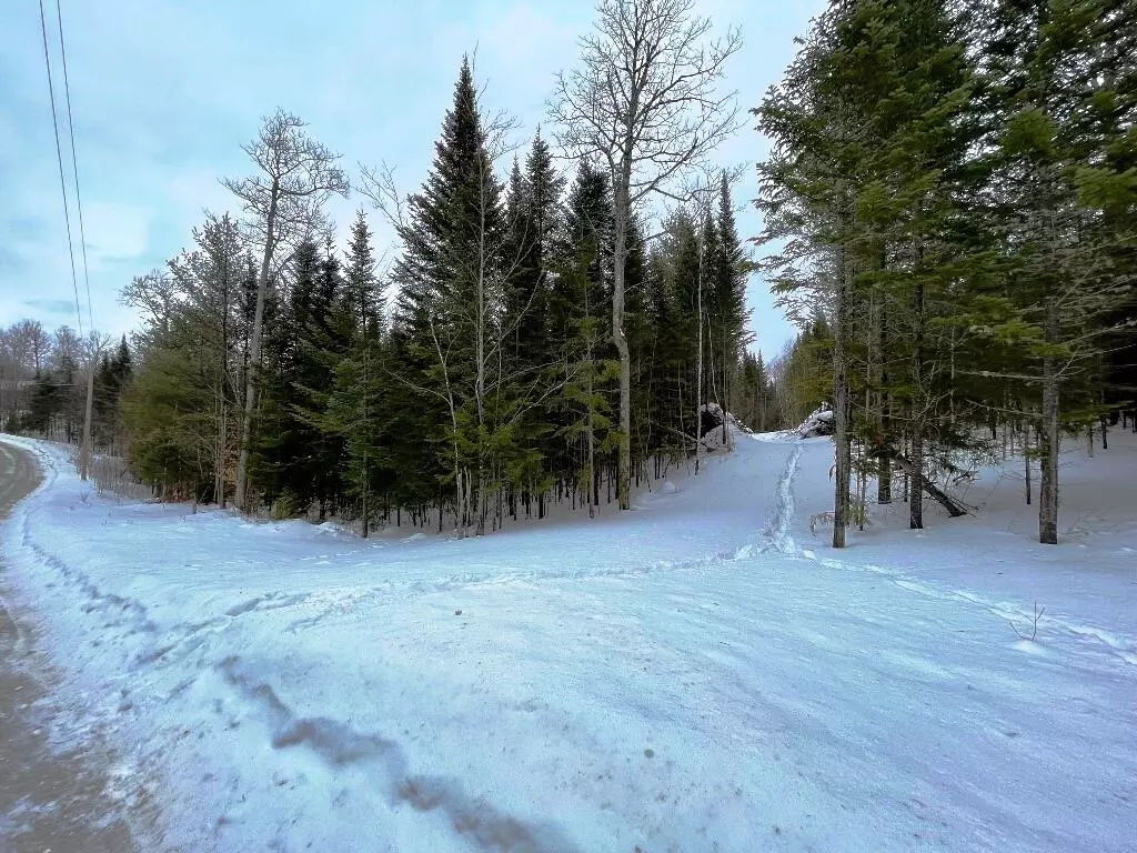 Greenville, ME 04441,10 Black Bear LN