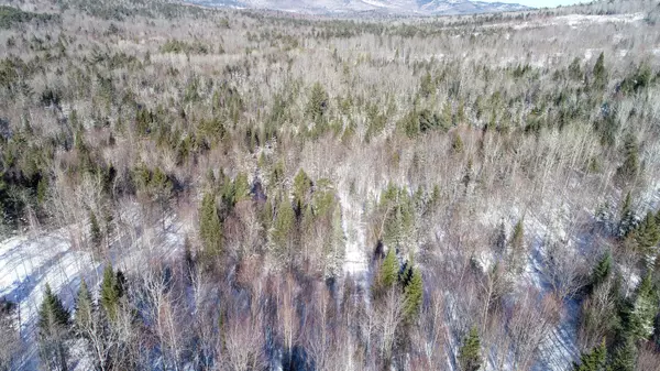 Woodstock, ME 04219,TBD Black Brook RD