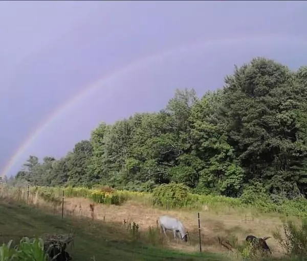 Baldwin, ME 04091,23 Graffam RD