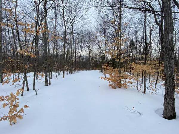 Shirley, ME 04485,145 Blanchard RD