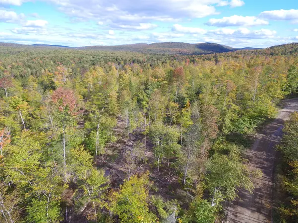 Springfield, ME 04487,19.2 Acres Mill Hill RD