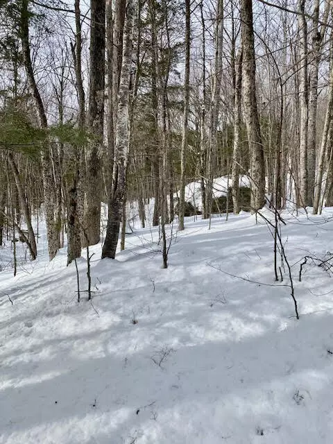 Newry, ME 04261,Lot 3-1-A Sunny Hills